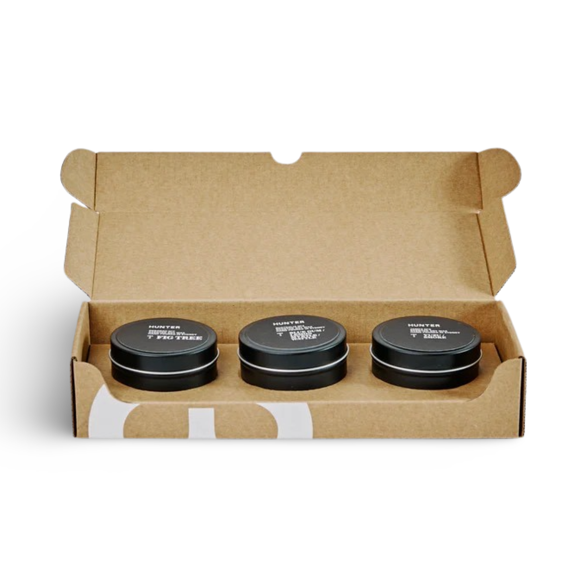 THE CURATOR - TINS