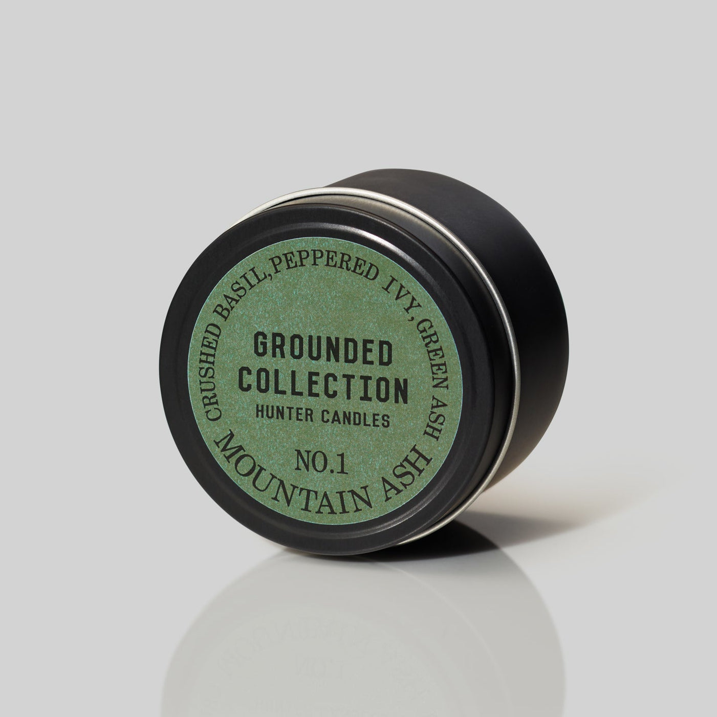 THE GROUNDED TRAVELLER