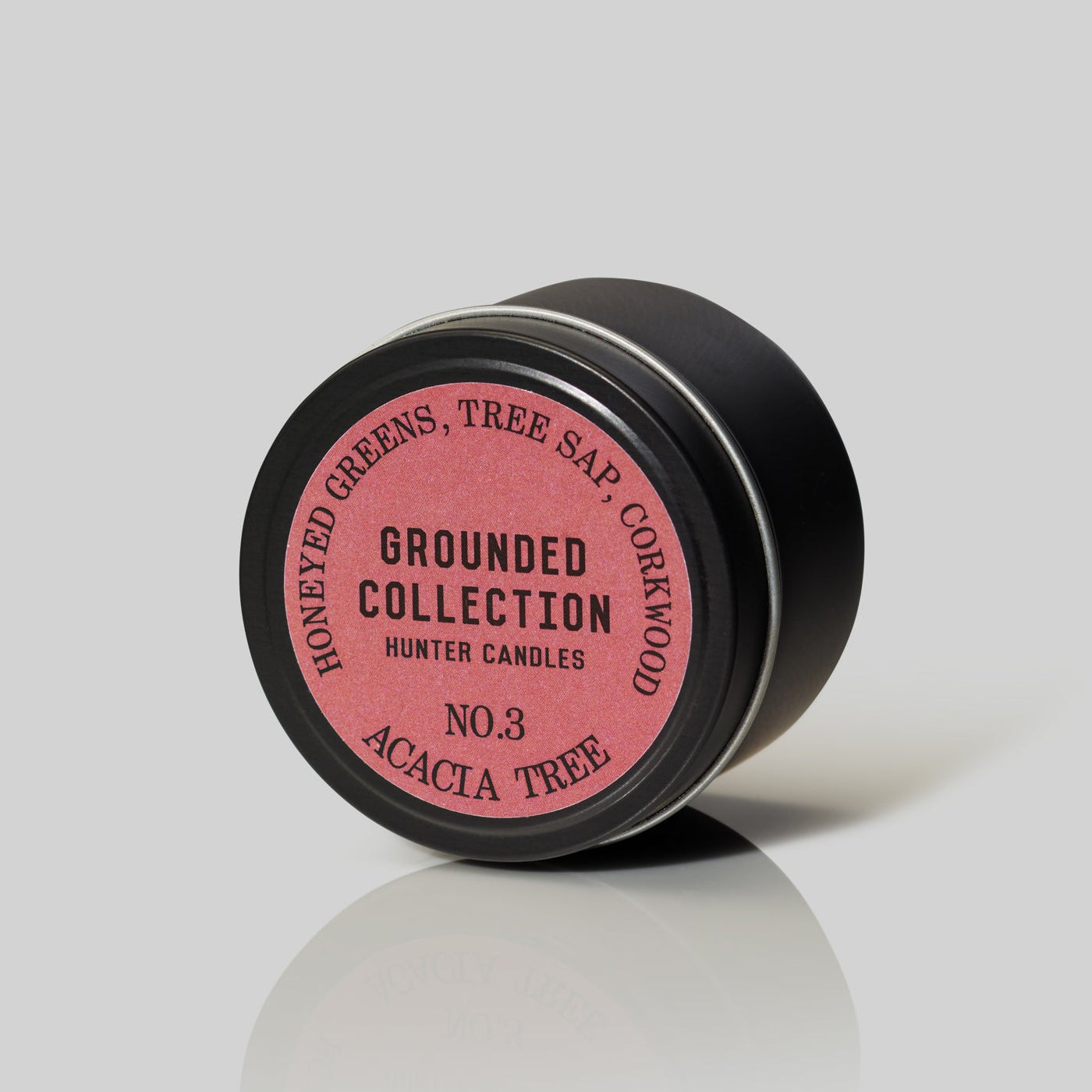 THE GROUNDED TRAVELLER