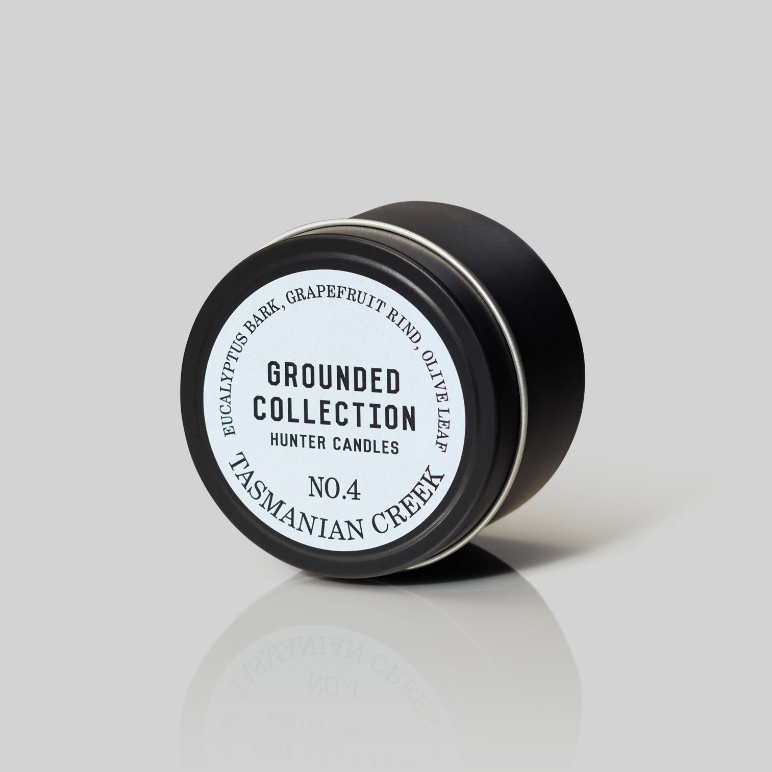 THE GROUNDED TRAVELLER