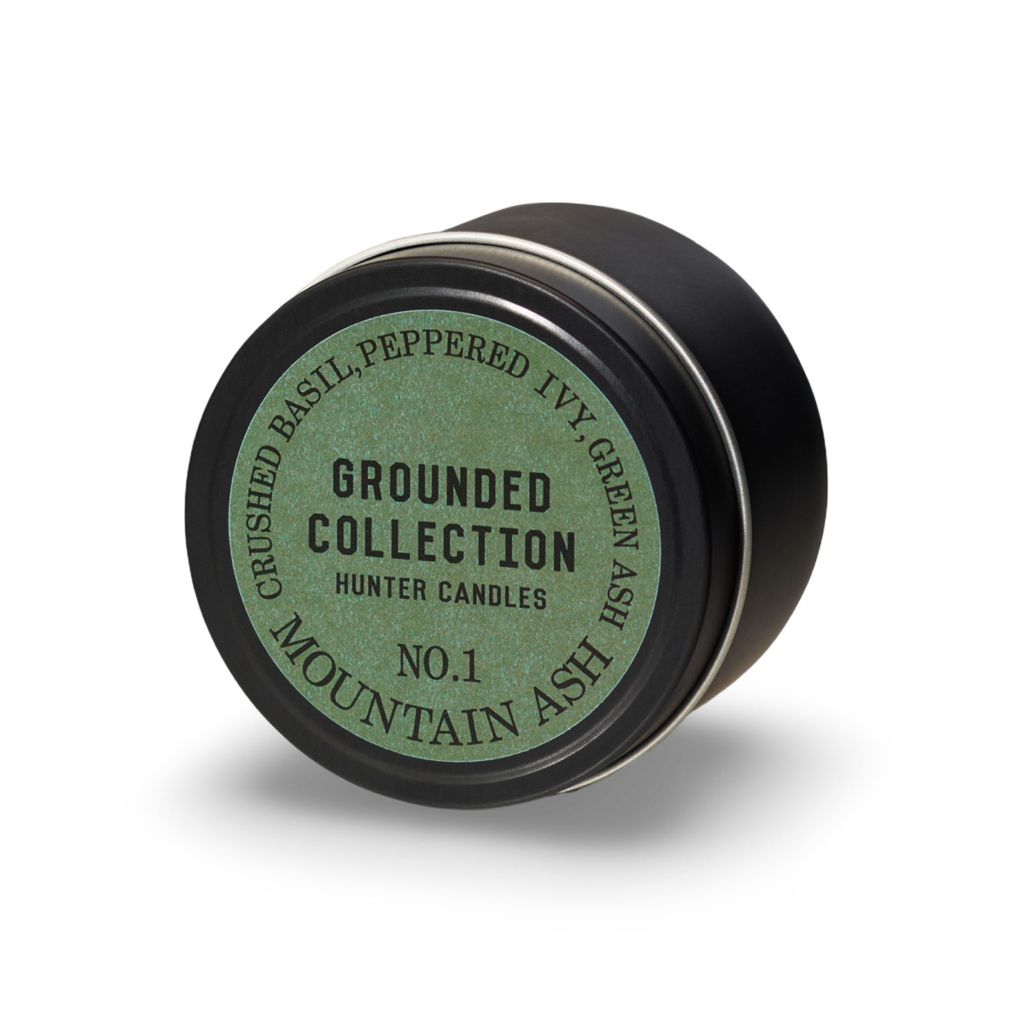 THE GROUNDED TRAVELLER